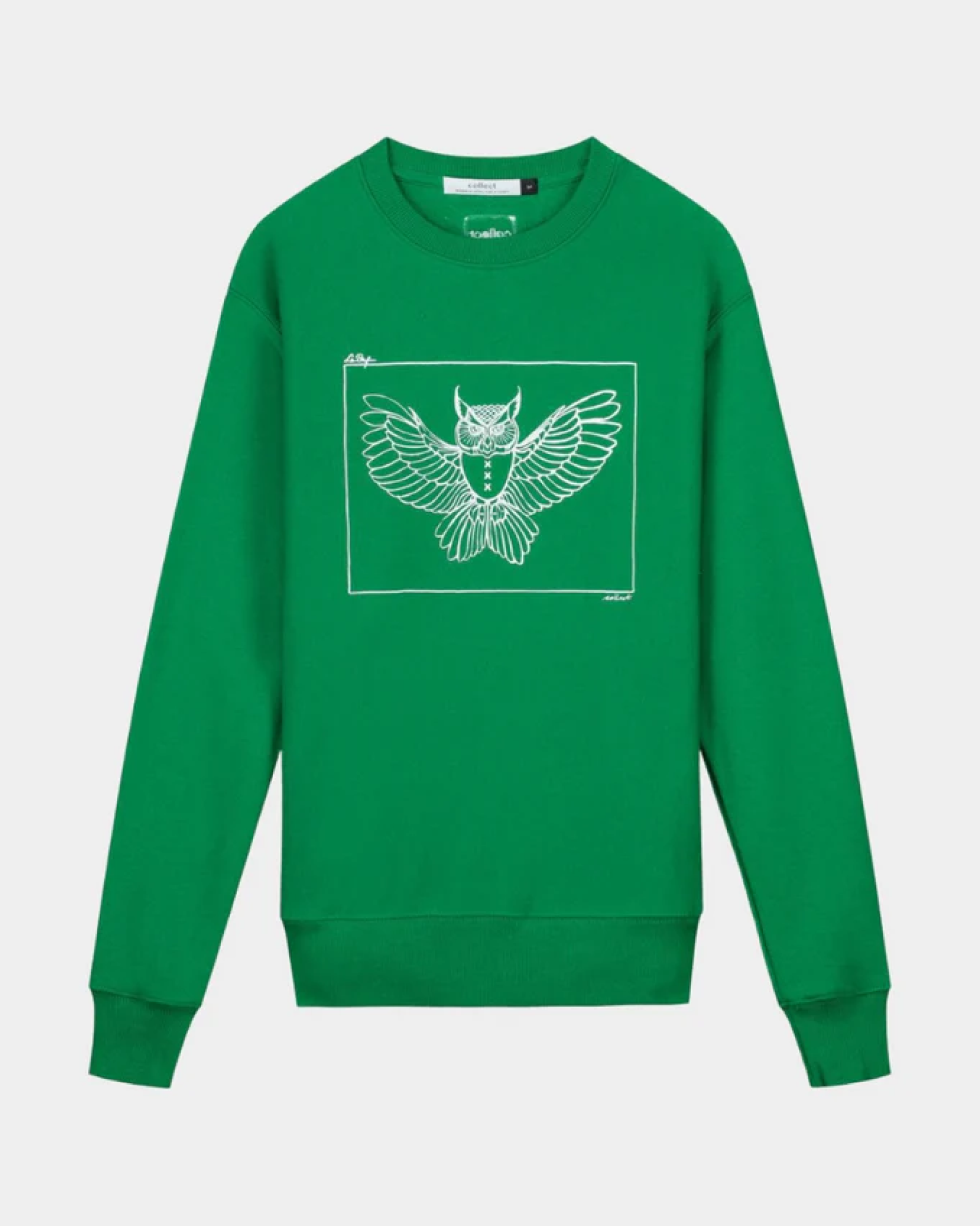 Pull Chouette Vert